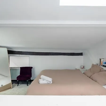 Joli Duplex Au Coeur Du Marais * Parigi