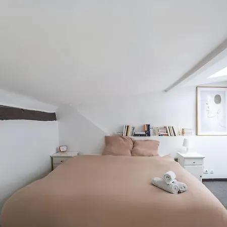 Joli Duplex Au Coeur Du Marais Appartamento Parigi