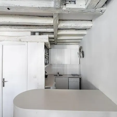 Joli Duplex Au Coeur Du Marais Appartamento *